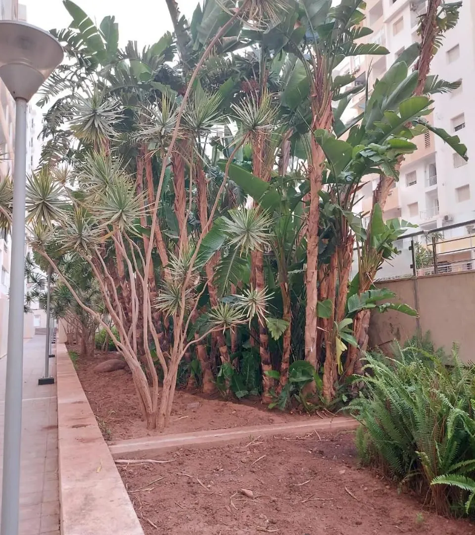 Studio Prestige Islan אגאדיר