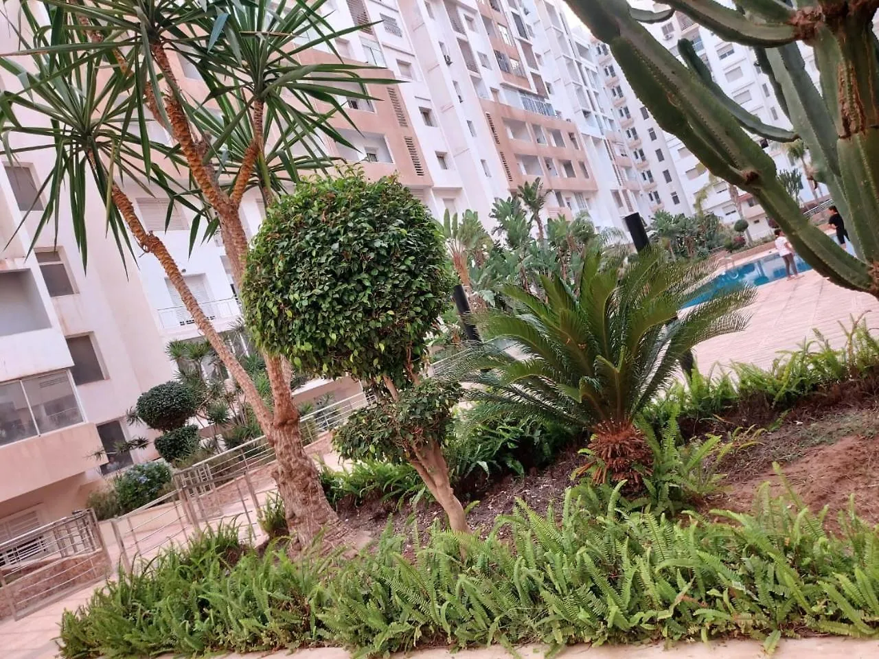 Studio Prestige Islan אגאדיר דירה